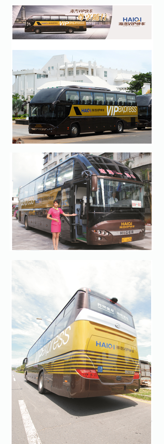 乐鱼VIP快车1.jpg